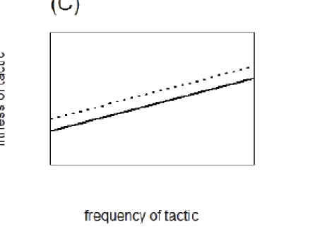 Option C diagram