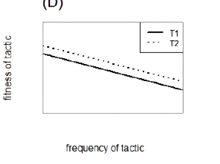 Option D diagram