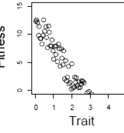 Option A diagram