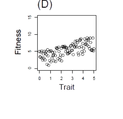 Option D diagram