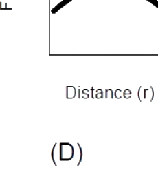 Option B diagram