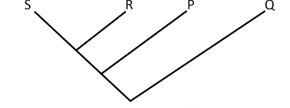 Question diagram