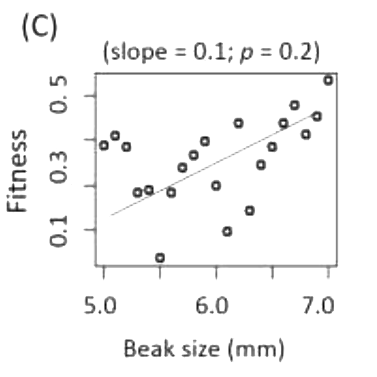 Option C diagram