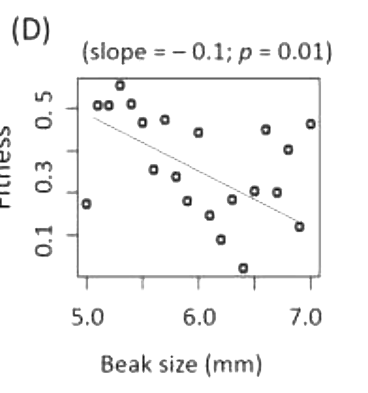 Option D diagram