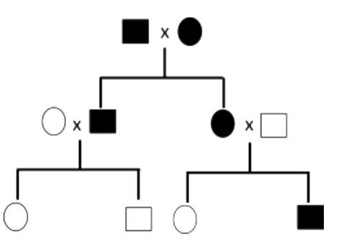 Question diagram