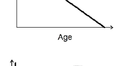 Option A diagram