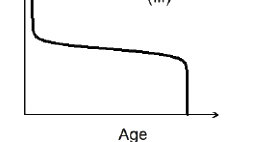 Option C diagram
