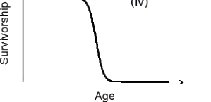 Option D diagram