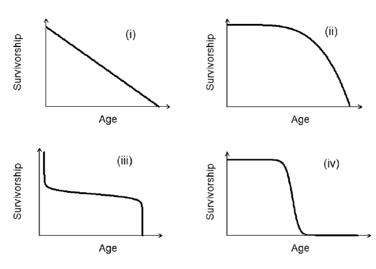 Question diagram