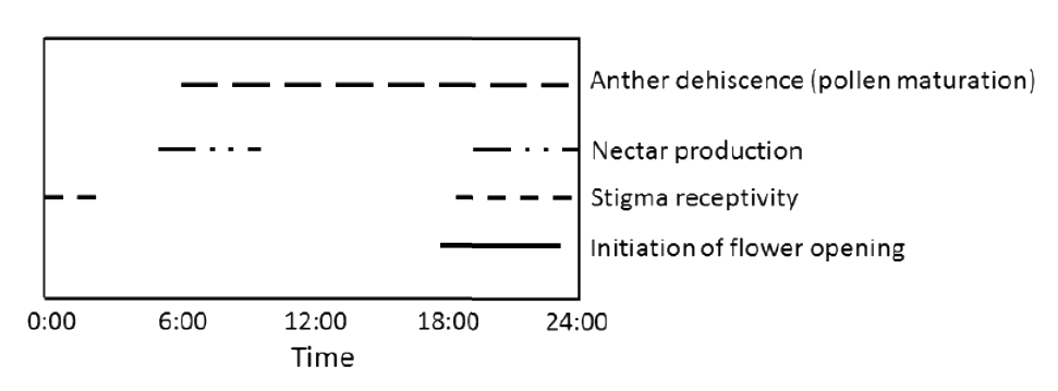 Question diagram