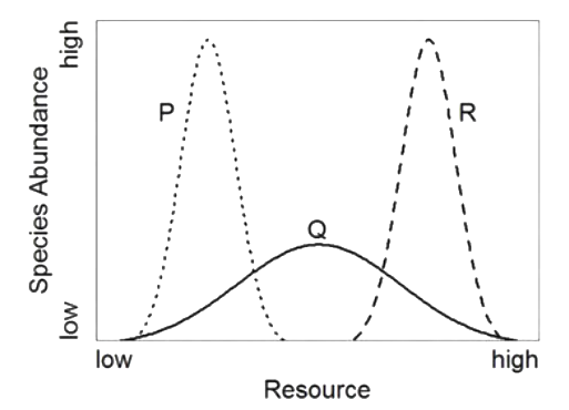 Question diagram