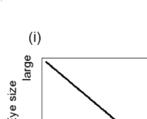 Option A diagram