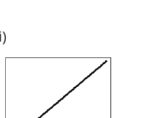Option B diagram