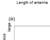 Option C diagram