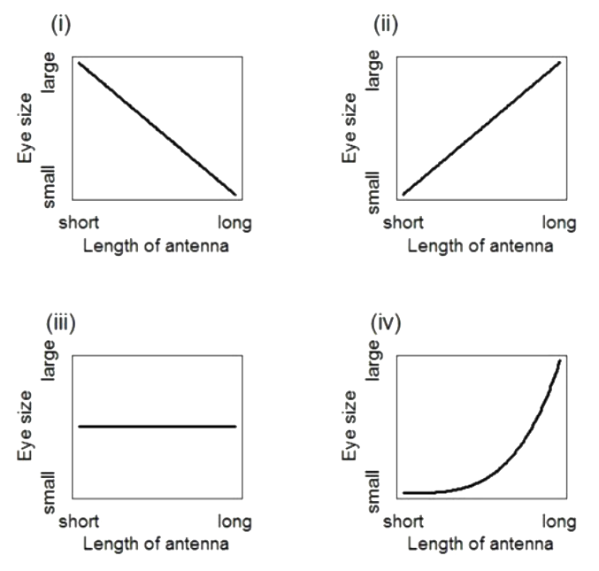 Question diagram