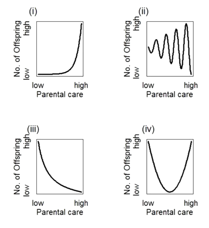 Question diagram