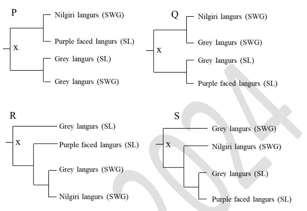 Source question diagram