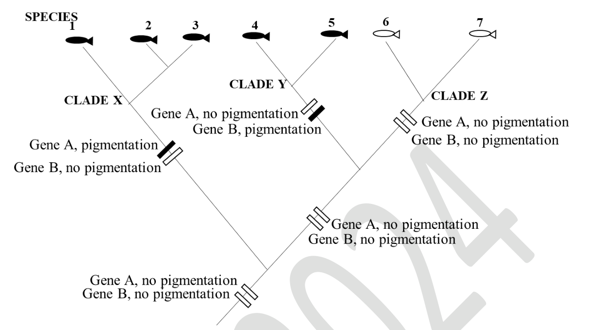 Source question diagram