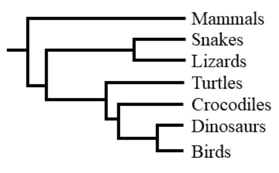 Source question diagram