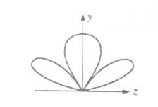 Option C diagram
