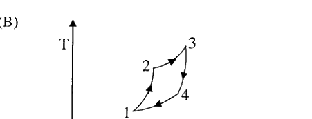 Option B diagram