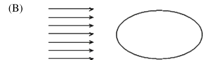 Option B diagram