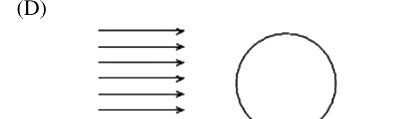 Option D diagram