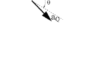 Option C diagram