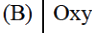 Option B diagram