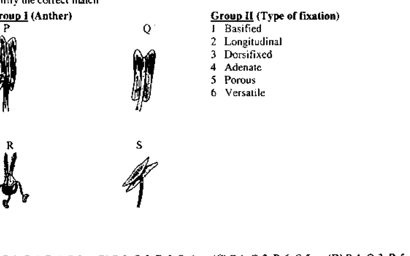 Question diagram