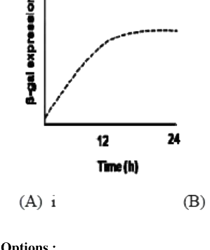 Option A diagram