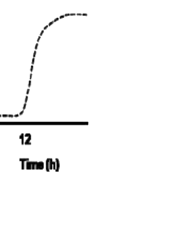 Option D diagram