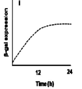 Option A diagram