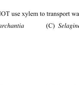 Question diagram