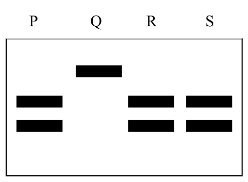Source question diagram