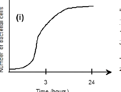 Option A diagram