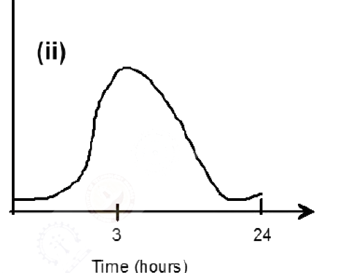Option B diagram