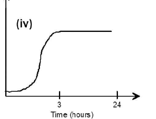 Option D diagram