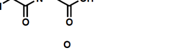 Option B diagram