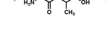 Option C diagram