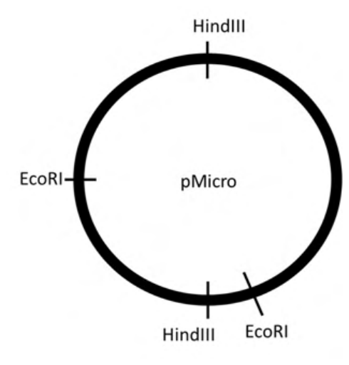 Source question diagram