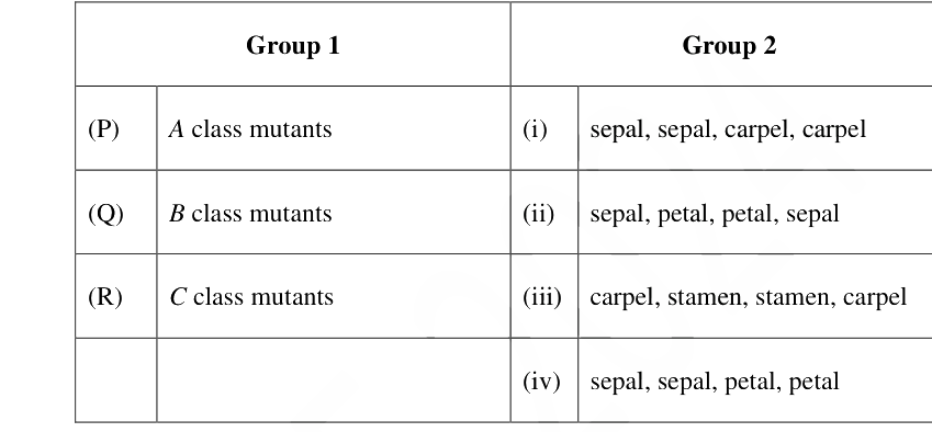Question diagram