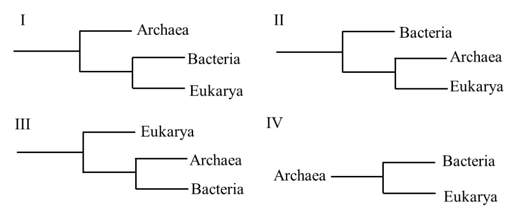 Source question diagram