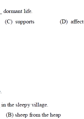 Option D diagram