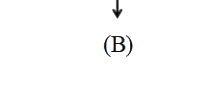 Option D diagram