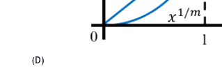 Option D diagram