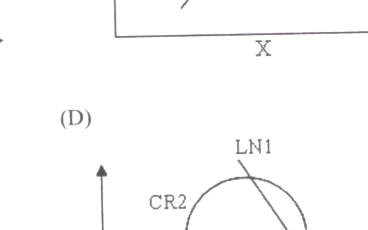 Option B diagram