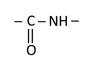 AIPMT 2001 Chemistry - Biomolecules Question 22 English Option 2