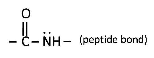 AIPMT 2001 Chemistry - Biomolecules Question 22 English