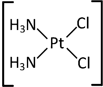 AIPMT 2004 Chemistry - Coordination Compounds Question 39 English Option 3